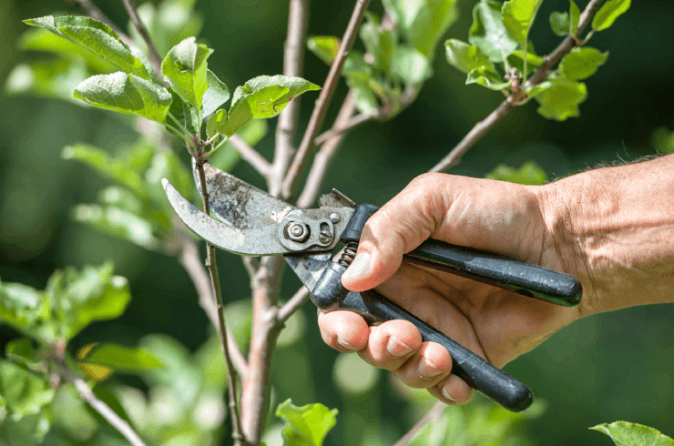 A & J Landscaping Maintenance 