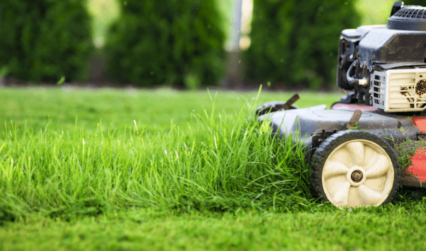 A & J Landscaping Maintenance 