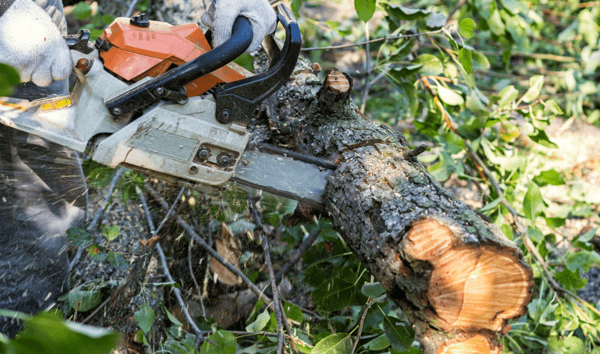 A & J Landscaping Maintenance 