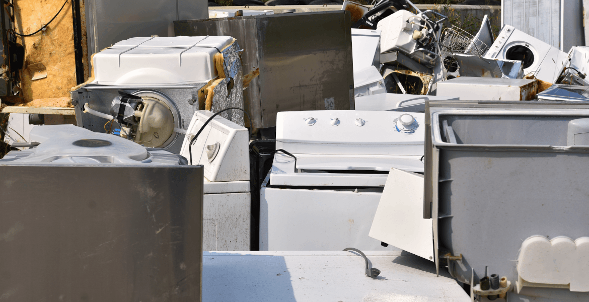 Champion Removal Service