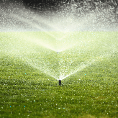 Sprinkler Installation