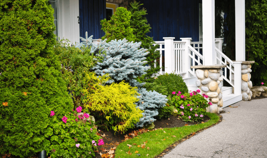 Quality Lawn Service