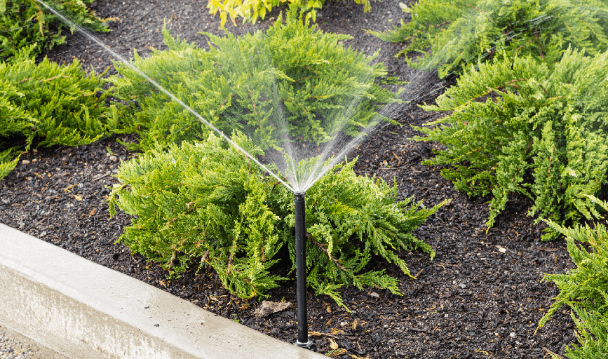 Irrigation Installation