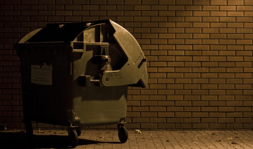DUMPSTER CLEANING SERVICES