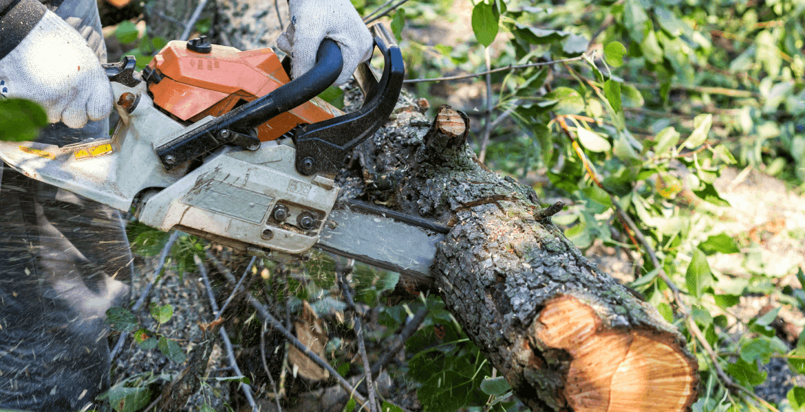 Michael's Tree & Excavating Service