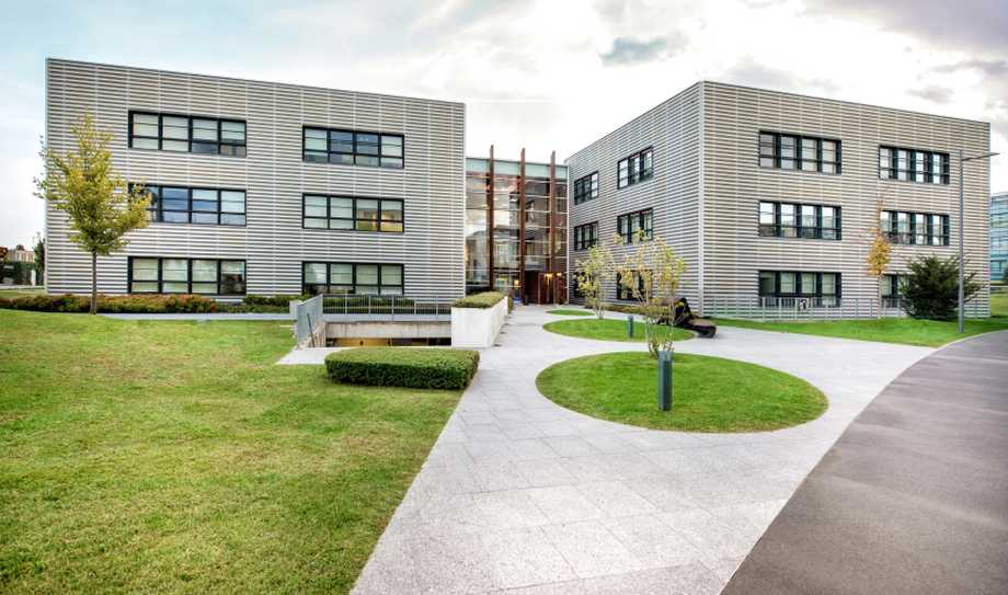 Kings and Queens Landscaping Service