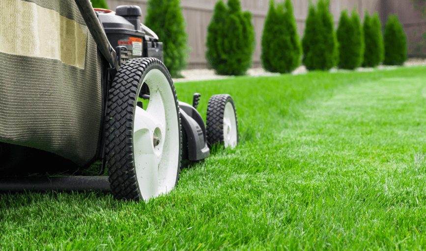 Lawn Mowing
