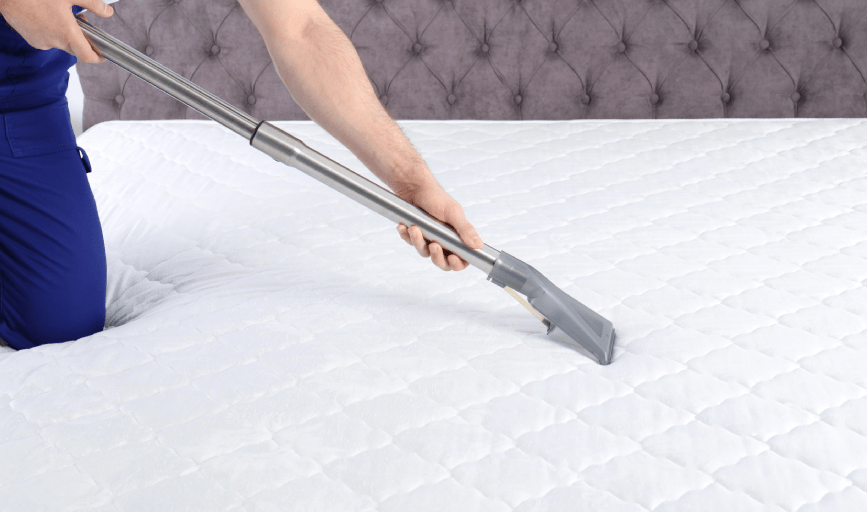 Danielle's Premier Cleaning