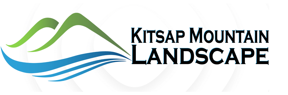 Kitsap Mountain Landscape