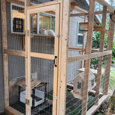 Pet Enclosures