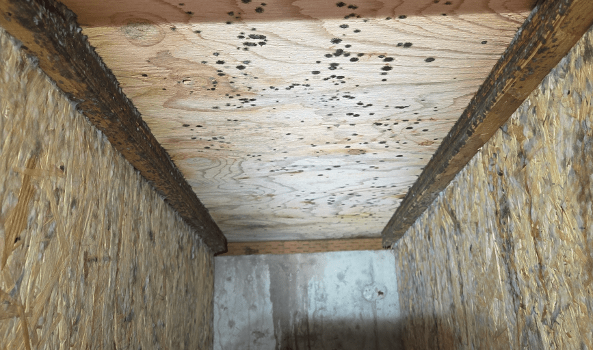 Mold Destruction Reconstruction