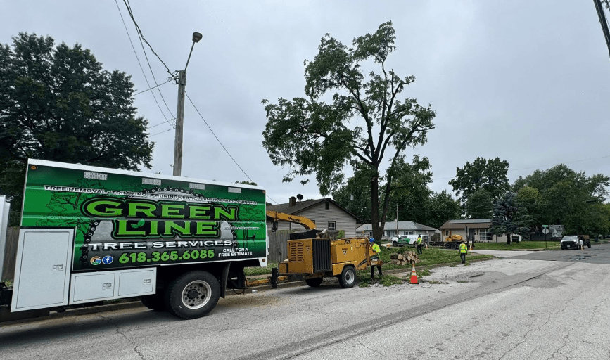 Green Line Tree Services