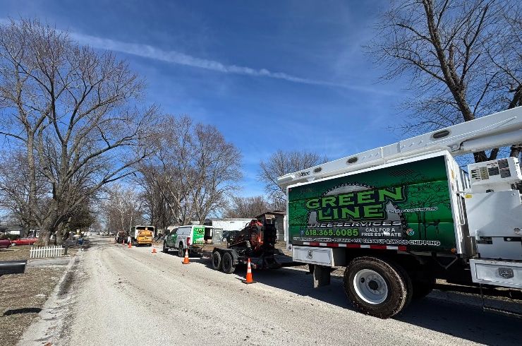 Green Line Tree Services