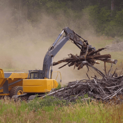 Stump Removal