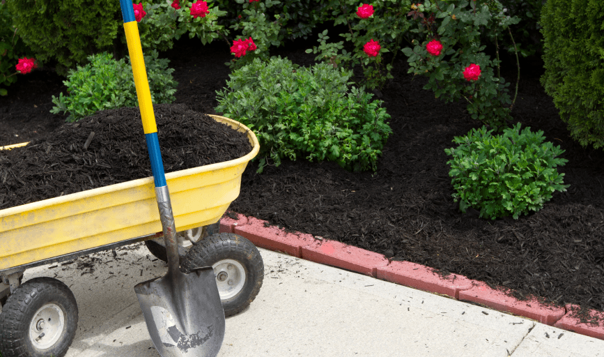 Mulch Installation