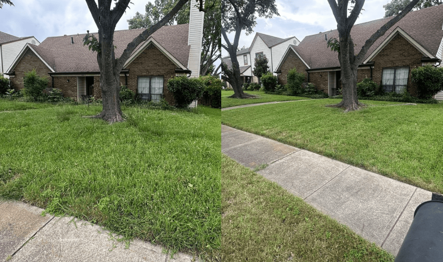 Apex Lawncare & Landscape