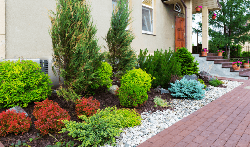 Multi Purpose Services