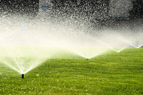 Vergil's Lawn & Landscaping 