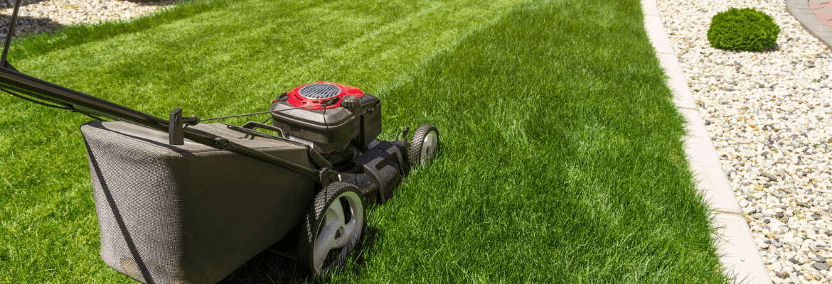 Vergil's Lawn & Landscaping 