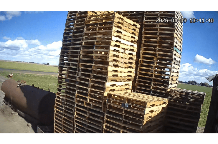 Monica & Faustino Pallets