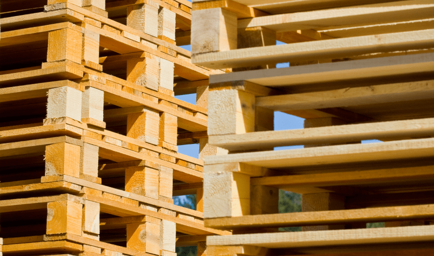 Monica & Faustino Pallets