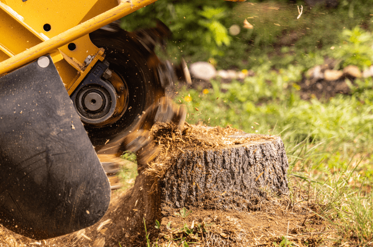 Boden Home Service & Design 