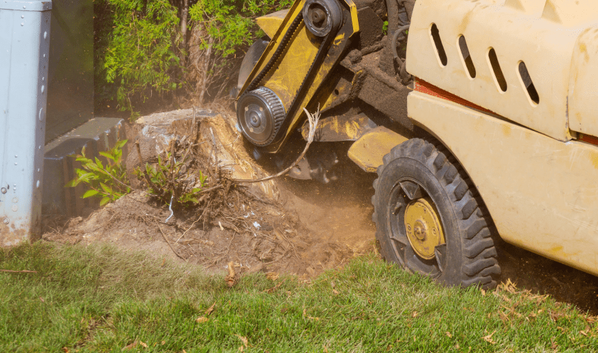 Stump Grinding