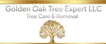 Golden Oak Tree Expert