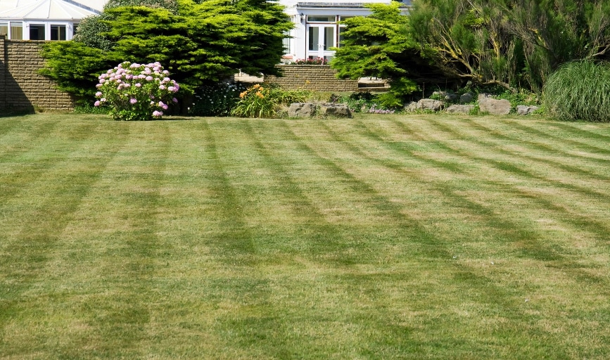 AAA Lawn Care & Landscaping Services