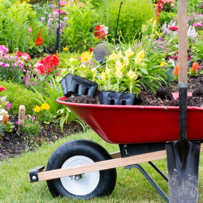 Landscaping Services