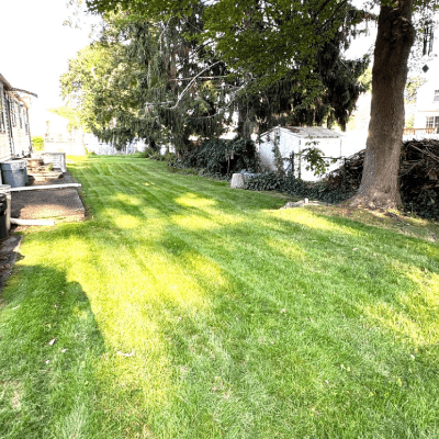 Lawn Fertilization