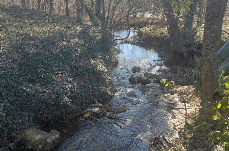 McClelland's Small Tree Service and Landscape