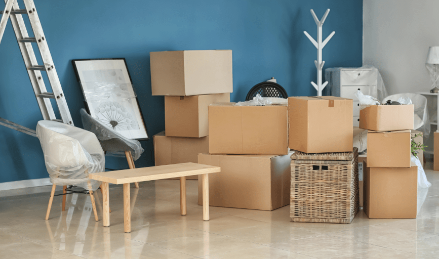 Sasha's Spic and Span