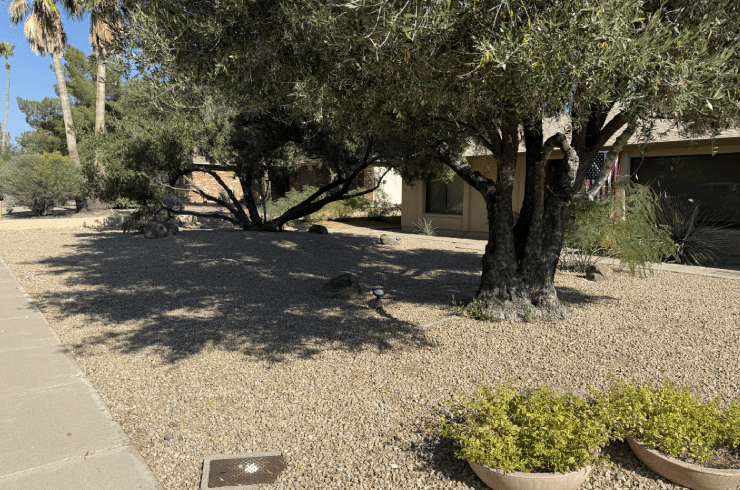 Phoenix Rising Landscaping LLC