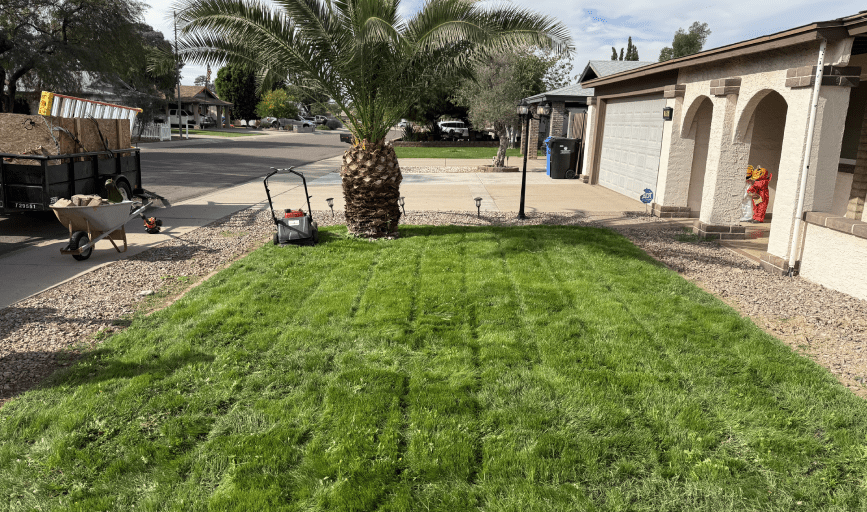 Phoenix Rising Landscaping LLC