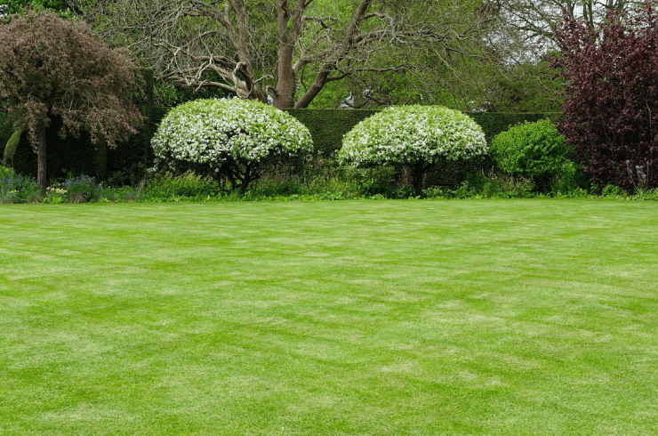 Davis Seasonal Services