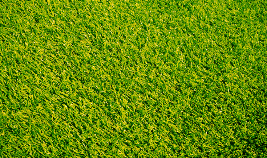 Davis Seasonal Services