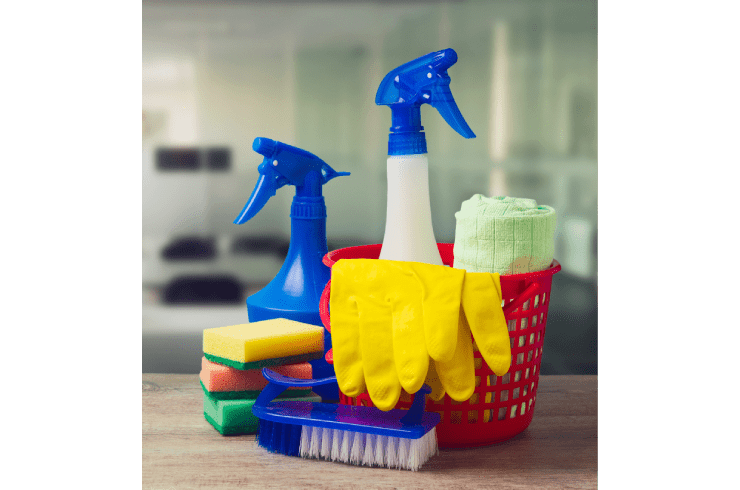 Wall-Ace Tribologist Cleaning Service