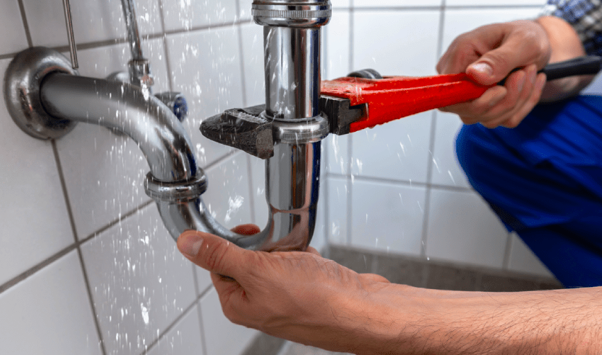 Neighborhood Pro Services