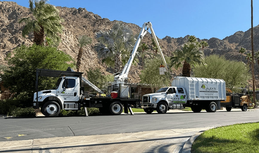 Alex's Tree Services