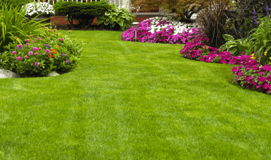 Knox Handyhand Solutions