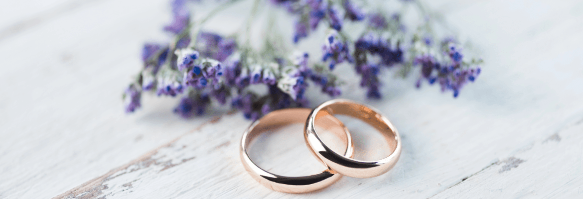 Apex Visuals Creative Media