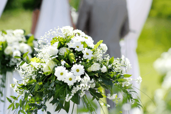 Apex Visuals Creative Media