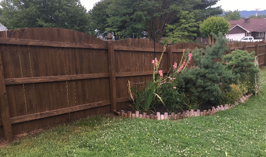 Kingdom Stain & Seal