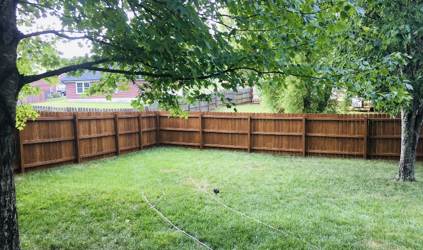 Kingdom Stain & Seal