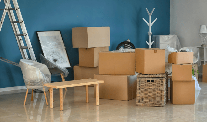 Elaine Cleaning Company