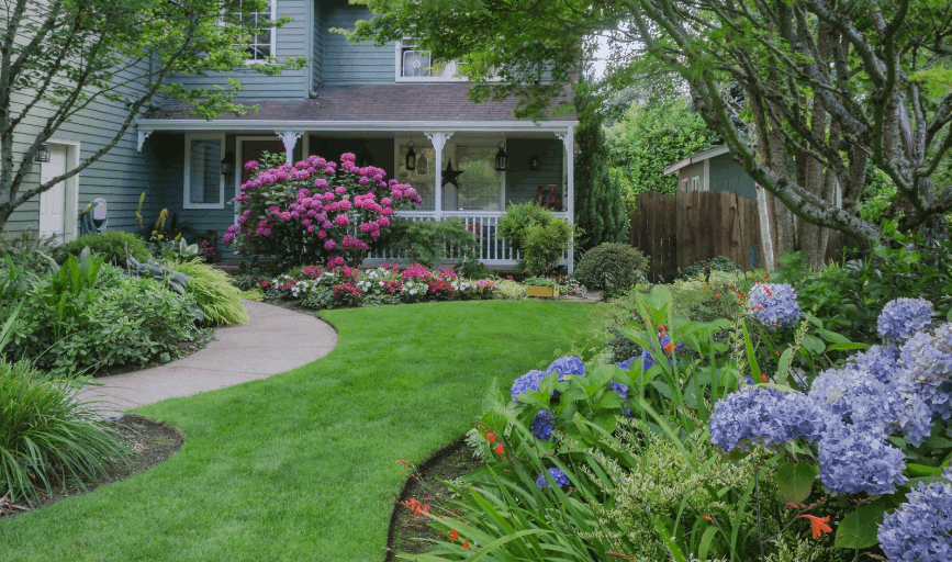 Speedy Gonzalez Lawn Care & Services