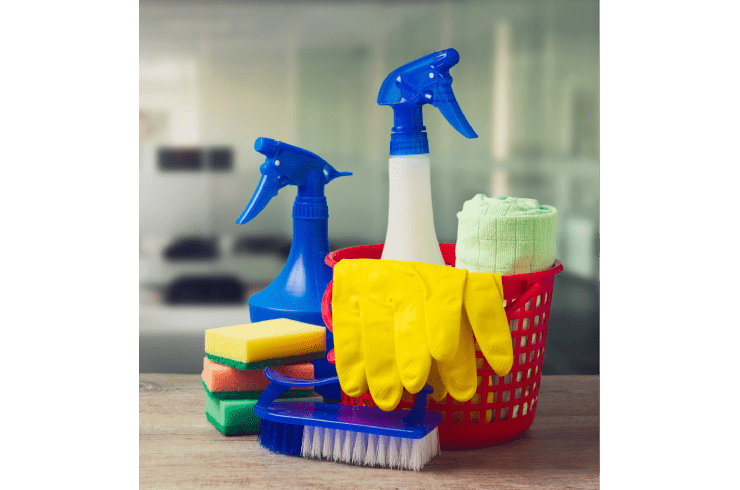 Tennessee Maid Services