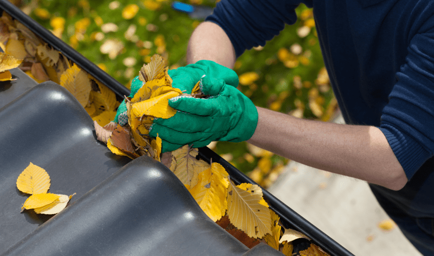 Dodds and Dodds Gutter Cleaning Company