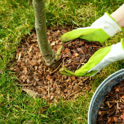 Mulching